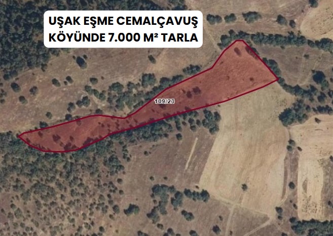 UŞAK EŞME CEMALÇAVUŞ KÖYÜNDE 7.000 M² TARLA - UŞAK EŞME fotoğraf 5